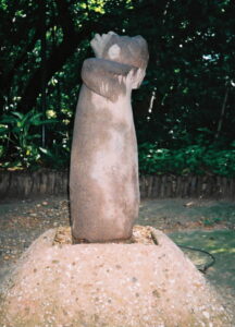 Opice se dívá na nebe